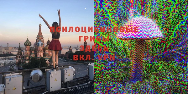 мескалин Белокуриха