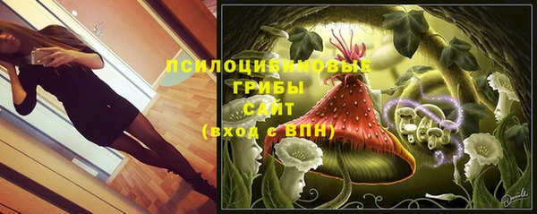 мескалин Белокуриха