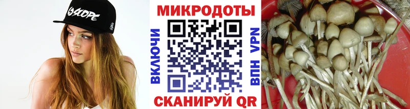 дарк нет состав Озёрск Псилоцибиновые грибы ЛСД